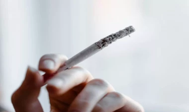 Siqaret çəkənlərdə bu vitamin çatışmır - Açıqlama