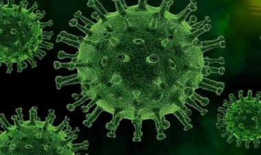 Tarixin ən ölümcül xəstəliyi GERİ GƏLDİ