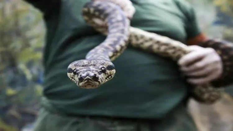 Küçənin ortasında 3,6 metr uzunluğunda ilan tutuldu