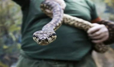 Küçənin ortasında 3,6 metr uzunluğunda ilan tutuldu