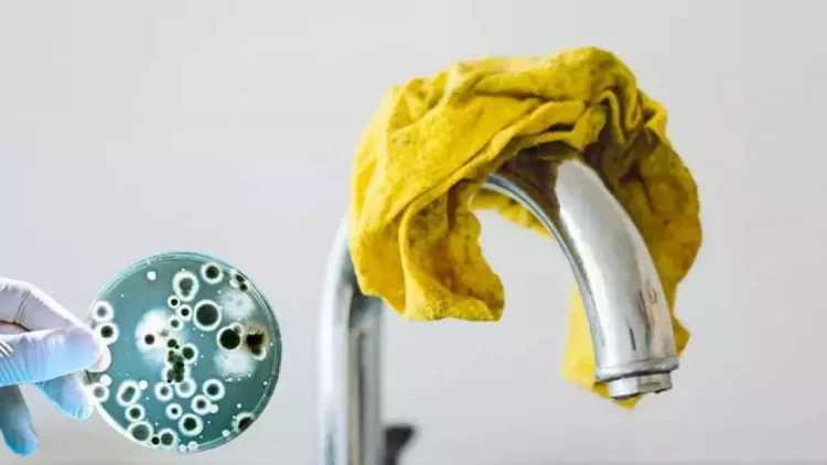 Kranın üzərində saxlanılan yaş bezlər təhlükəlidir - eşidən dərhal zibilə atır