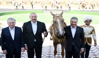 Azərbaycan Prezidenti İlham Əliyevə “Axaltəkə” atı hədiyyə edilib - VİDEO - FOTO