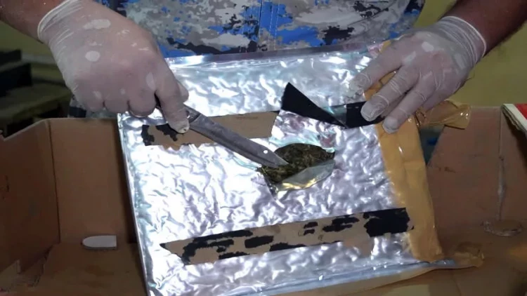 “Kahı” yükündən külli miqdarda marixuana aşkarlandı - FOTOlar