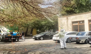 Paytaxtda Ağ Amerika kəpənəklərinə qarşı dərmanlama işləri aparılıb - FOTOlar