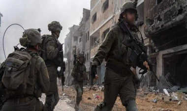 İtaət və hakimiyyət: siyasi loyalıq necə silaha çevrilir