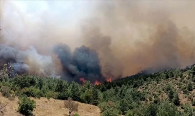 Türkiyənin dörd kəndindən sakinlər təcili təxliyə edildi