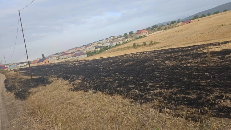 Qubada əkin sahəsini yandıran şəxs məsuliyyətə cəlb olunub