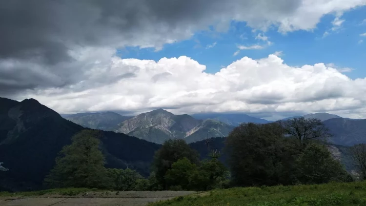 Qəbələdə dağlıq ərazidə köməksiz vəziyyətdə qalan qadın xilas edildi