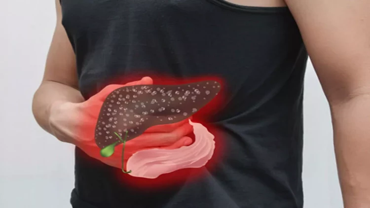 Alimlər qaraciyərin özünü bərpa etmə qabiliyyətini artıran yeni üsul kəşf etdilər