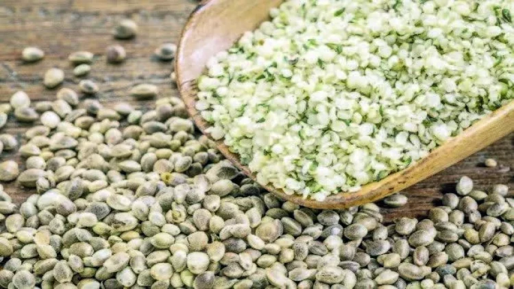 Çətənə toxumunun sağlamlığa inanılmaz faydaları