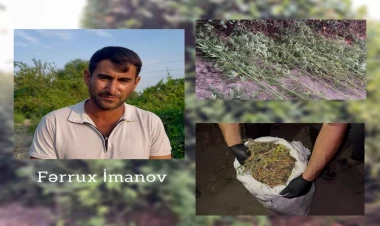 Kürün sahilində xüsusi tunel hazırlayaraq çətənə bitkisi yetişdirən şəxs saxlanılıb