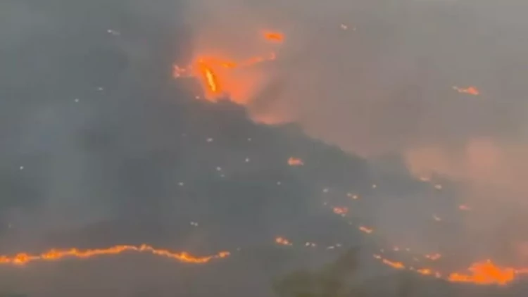 Zəngilanda yanğın törədən şəxs saxlanıldı - FOTOlar