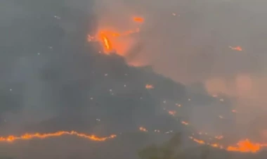 Zəngilanda yanğın törədən şəxs saxlanıldı - FOTOlar