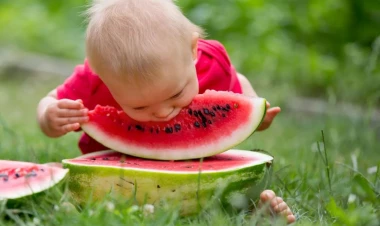 Qarpızı çox yemək hansı təhlükələrə səbəb ola bilər?