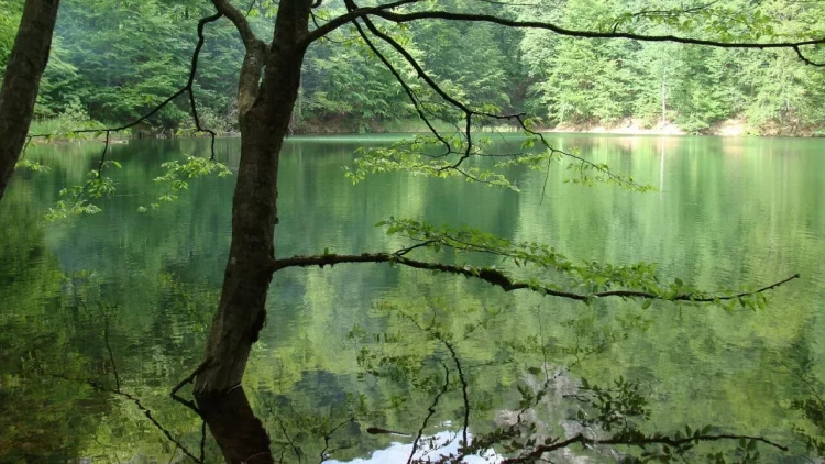Canlı yayımda itkin düşən qızın meyitini TAPDI - VİDEO