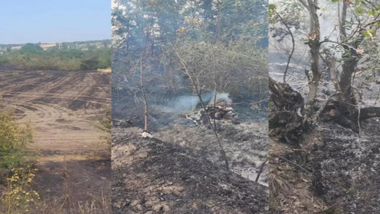 Qubada yanğın törədənlərdən biri həbs olundu, ikisi cərimələndi - FOTO