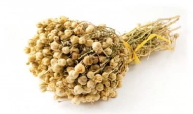 Nazirlikdən üzərliklə bağlı XƏBƏRDARLIQ