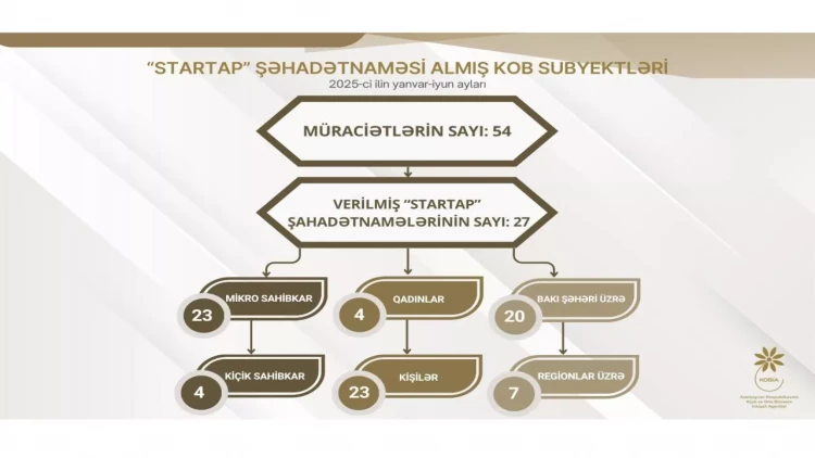 2025-ci ildə “Startap” şəhadətnaməsi almış KOB subyektlərinin əksəriyyəti mikro sahibkarlardır