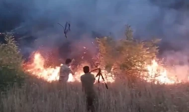 Xocavənd, Şuşa və Xocalıda dağlıq ərazidə baş vermiş yanğınlar söndürülüb - VİDEO