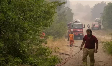 Türkiyənin iki bölgəsi fəlakət zonaları elan edildi