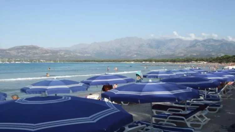 Bu məhsulları dənizə aparmayın - SİYAHI