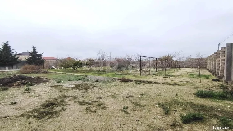 Torpaqların sənədləşməsində gecikmələrin səbəbləri...