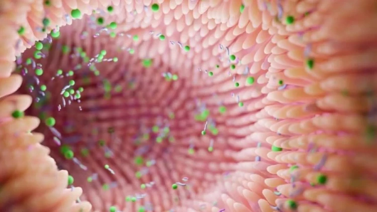 Nə avokado, nə də ərik: Bağırsaq üçün ən yaxşı meyvə ortaya çıxdı