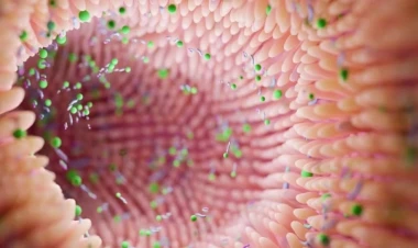 Nə avokado, nə də ərik: Bağırsaq üçün ən yaxşı meyvə ortaya çıxdı