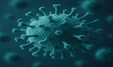 Çində iki yeni virus aşkar edildi  - Meyvələrdən sürətlə insanlara yayılır