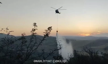 Meşə yanğınlarının əsas səbəbləri açıqlandı