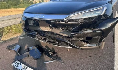 Heyvanı vuran Çin maşını bu hala düşdü - 