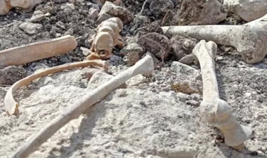 Ağdamda insan sümüyü fraqmentləri aşkarlandı