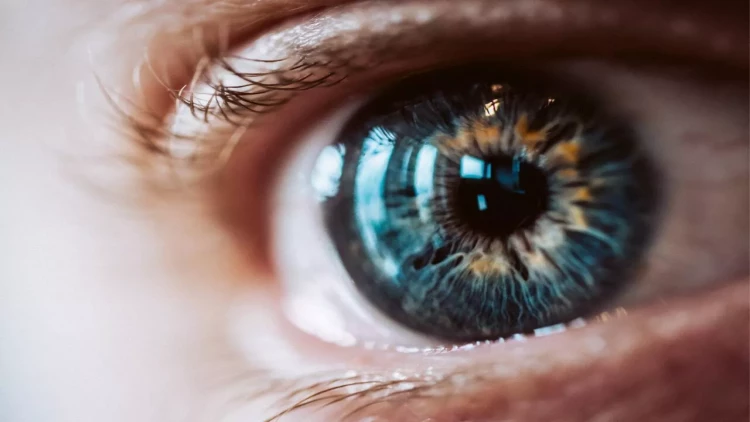 Yaxşı görmək istəyirsinizsə bu qidalardan çox yeyin