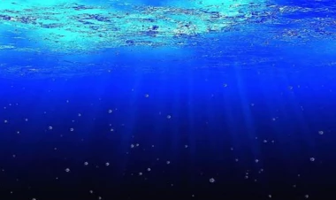 Amerikalı alimlər dəniz altında işləyən mikroskop hazırlayıb