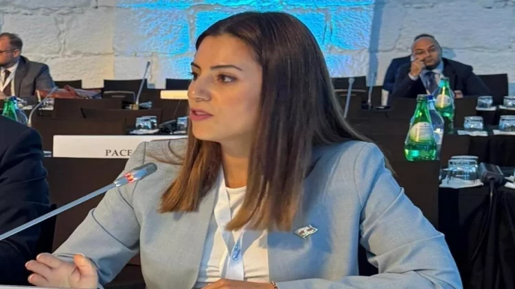 Deputat: Sülh sazişi üçün son maneələr aradan qaldırılmalıdır - VİDEO