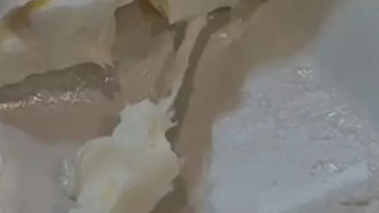 Məşhur şirkətin kərə yağından sellofan çıxdı - VİDEO