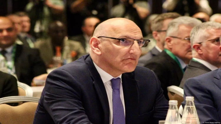 Zəngəzur dəhlizi Ermənistanı təcrid vəziyyətindən çıxara bilər - Elçin Əmirbəyov