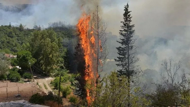 Türkiyədə meşə yanğını başladı - Texnikalar cəlb olundu