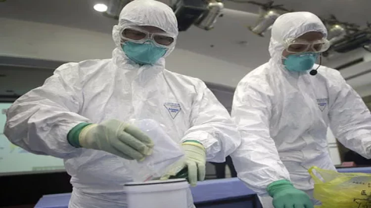 Çində iki yeni ölümcül virus aşkarlandı