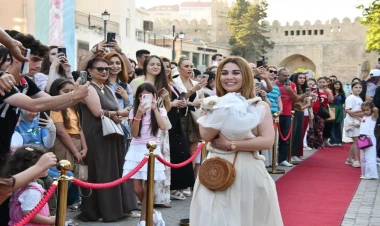 İçərişəhərdə “Küçələrdən Hekayələr” sosial layihəsinin açılışı baş tutdu - FOTO
