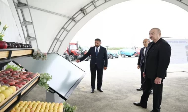Prezident İlham Əliyev Yevlax pilot aqroparkının açılışında iştirak edib - VİDEO - FOTO