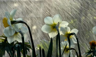 Qeyri-sabit hava nə vaxta kimi davam edəcək?