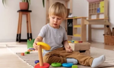 İcra Hakimiyyətinin “yox”  dediyi bu ada məhkəmə icazə verdi