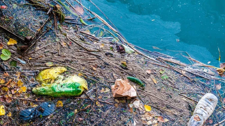 Ürək-damar xəstəlikləri üçün gözlənilməz risk faktoru açıqlandı