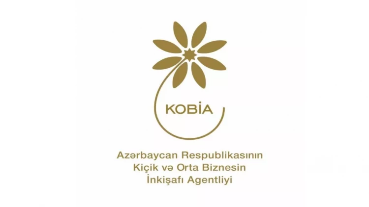KOBİA-nın təşəbbüsü ilə 7 istiqamət üzrə daxili bazar araşdırması aparılıb