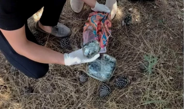 İranlı narkotacirdən onlayn yolla narkotik alan şəxs saxlanıldı - FOTO