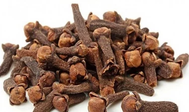 Min bir derdim dərmanı - Mixək