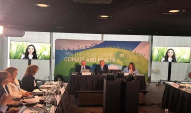 Leyla Əliyeva ÜST-ün təşkil etdiyi tədbirdə videokonfrans formatında iştirak edib - FOTO