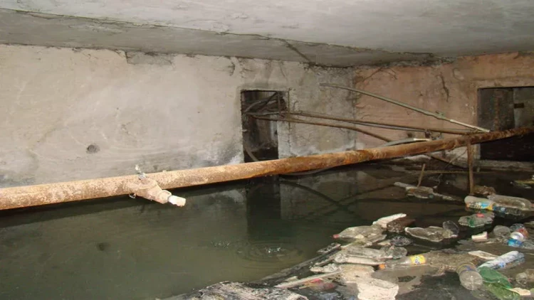 Sumqayıtda zirzəmi bataqlığa çevrildi - sakinlər nəfəs ala bilmir!