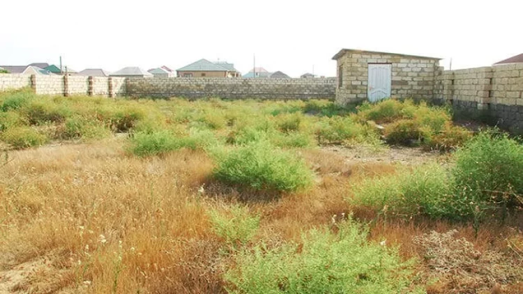 Məmmədlidə vətəndaşın evini “sənəddə” başqası sahiblənib - FOTO